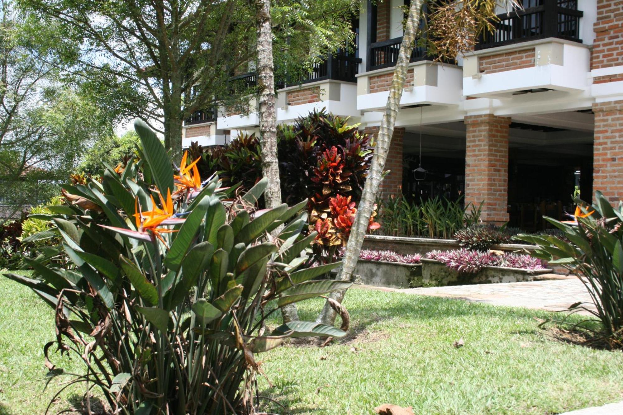 Finca Hotel La Esperanza Montenegro Eksteriør billede