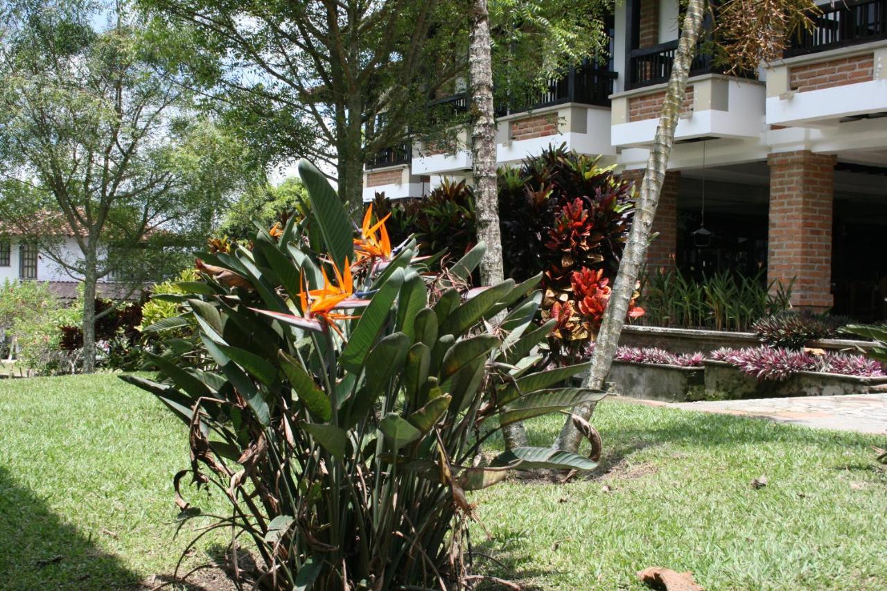 Finca Hotel La Esperanza Montenegro Eksteriør billede