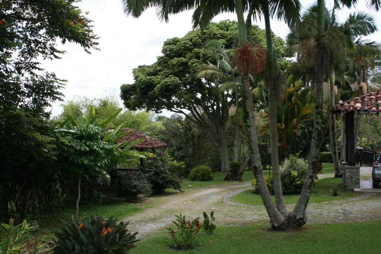 Finca Hotel La Esperanza Montenegro Eksteriør billede